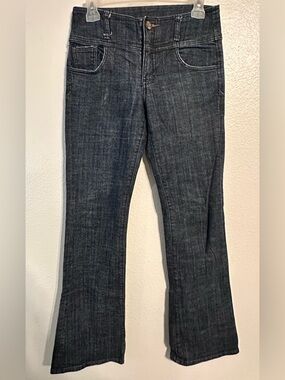 See Thru Soul Dark Wash Flared Jeans
